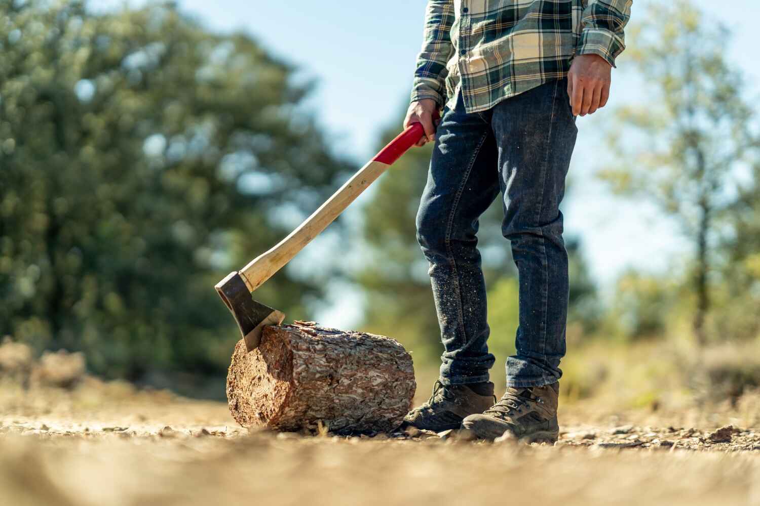 Best Tree Cutting Near Me  in Clayton, NJ